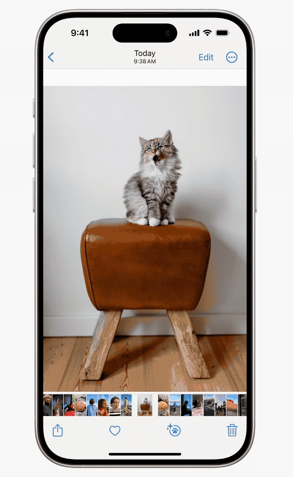 Daily Trivia - Use iPhone if You Are a Pet Owner