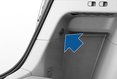 Daily Trivia for Model Y HW4: